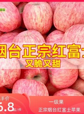 新鲜脆甜正宗山东烟台栖霞红富士苹果水果10整箱一级苹果5斤包邮