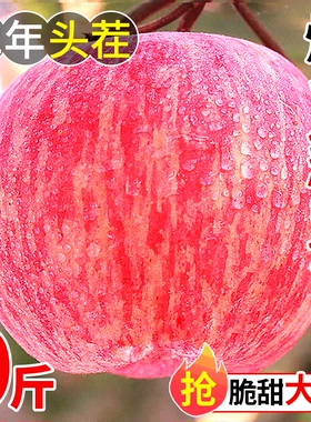 烟台红富士苹果水果新鲜当季整箱10斤山东栖霞脆甜冰糖心丑平果