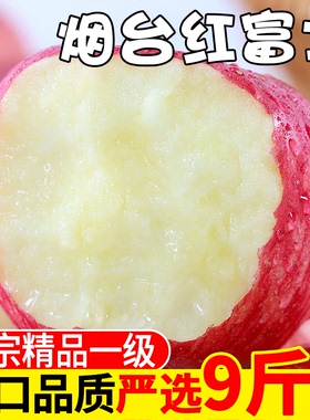 正宗山东烟台红富士苹果水果新鲜当季10斤一级栖霞脆甜丑平果整箱