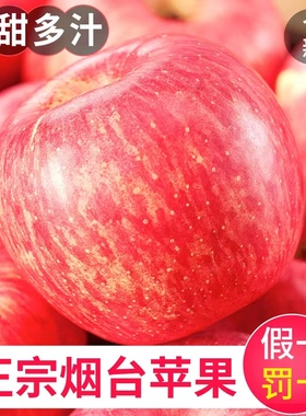 烟台红富士苹果10斤水果新鲜应当季整箱山东栖霞脆甜冰糖心丑平果