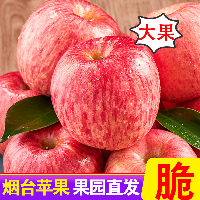正宗山东烟台栖霞红富士苹果脆甜水果新鲜当季整箱10斤一级平安果