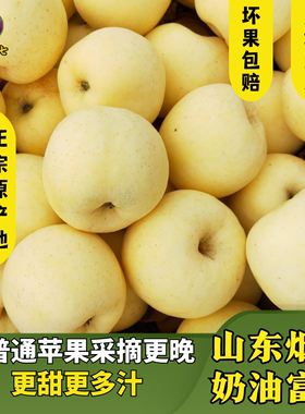山东烟台黄金奶油苹果白色黄肉整箱水果脆甜新鲜丑苹果王小七精选