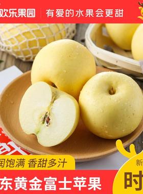 山东黄金富士苹果4.5斤装新鲜水果松脆甜苹果产地直发整箱包邮