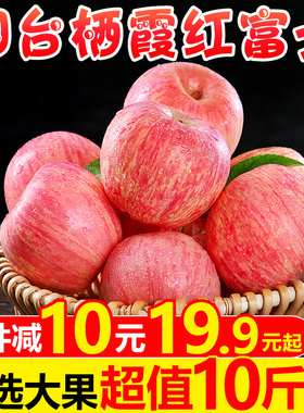 烟台红富士苹果水果9斤新鲜山东栖霞特产脆甜丑萍果当季带整箱十