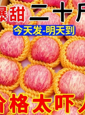 特价烟台红富士苹果应季新鲜水果整箱山东苹果脆甜10丑平果单品