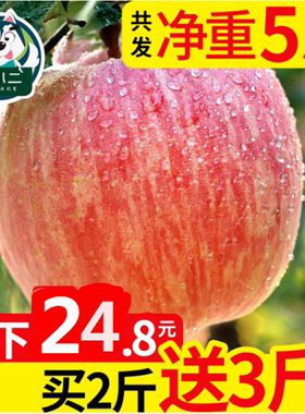 【买2送3】山东烟台苹果水果包邮当季新鲜萍平果吃的栖霞红富士大