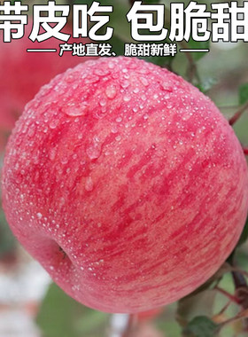 新鲜当季水果山东烟台红富士栖霞苹果10斤大果一级脆甜吃的不打蜡
