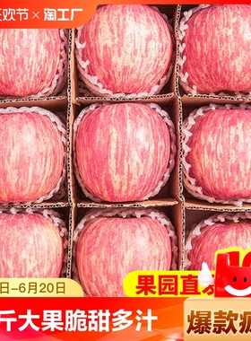 正宗山东烟台红富士苹果新鲜水果脆甜整箱冰糖心丑苹果大果10斤