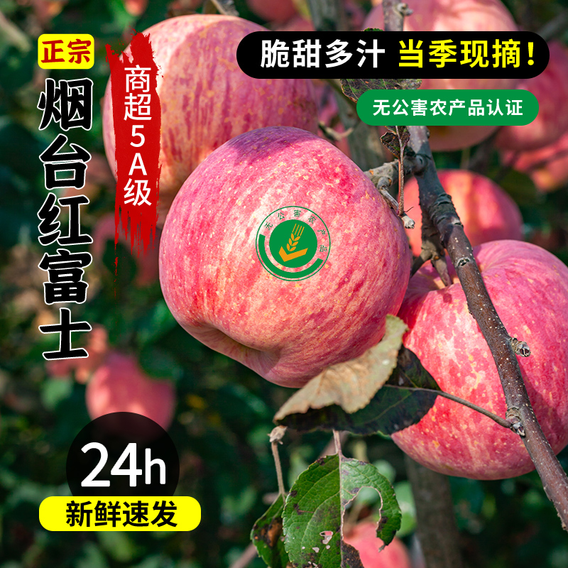 （5A级）山东烟台栖霞特级红富士苹果10斤当季新鲜水果丑苹果礼盒