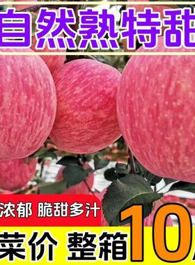 【超便宜】山东红富士苹果当季新鲜冰糖心苹果脆甜一整箱水果批发