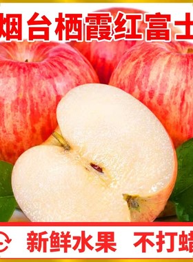 正宗山东烟台红富士新鲜水果栖霞一级苹果产地直发当季整箱脆甜