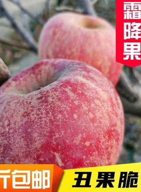 山东烟台栖霞霜降红富士丑苹果4.5-5斤脆甜多汁新鲜水果糖心