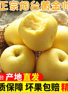 山东烟台黄元帅苹果新鲜水果正宗黄金帅黄香蕉苹果粉平果9斤5