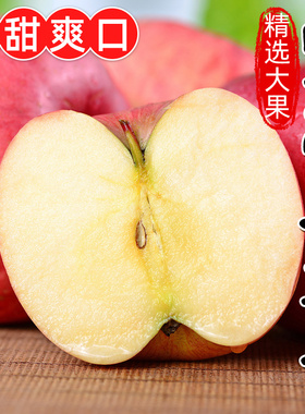 山东烟台红富士苹果10斤新鲜水果当季正宗冰糖心栖霞平果整箱包邮