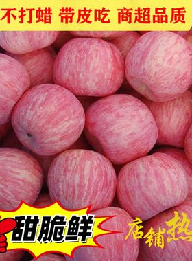 山东苹果烟台红富士脆甜吃的新鲜当季水果栖霞净果9斤