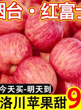山东烟台栖霞正宗红富士奶油苹果脆甜新鲜水果整箱3/5/9斤特