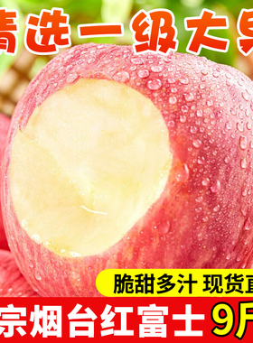 正宗山东烟台红富士苹果新鲜当季水果10斤丑苹果冰糖心平安果整箱