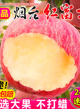 【精品】正宗山东烟台红富士苹果水果新鲜脆甜10斤冰糖心苹果丑