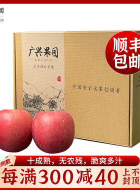 广兴果园烟台红富士栖霞苹果山东新鲜水果年货福利12颗礼盒装