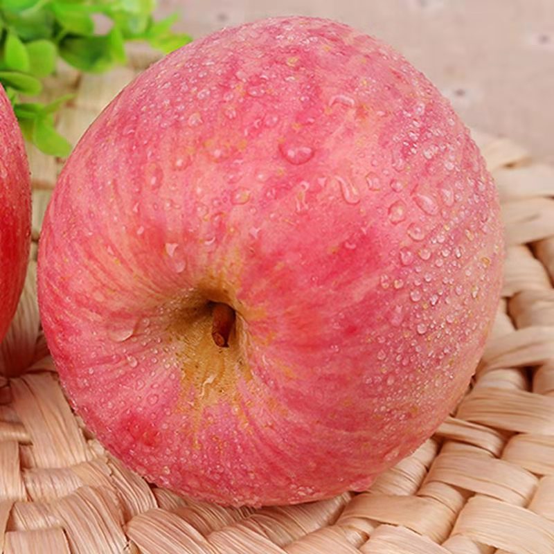 山东烟台红富士苹果新鲜脆甜水果当季整箱9斤包邮