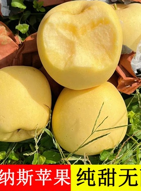 山东维纳斯黄金苹果当季整箱新鲜水果脆甜多汁富士奶油丑苹果5斤