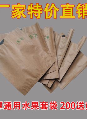 套梨专用袋黄金梨苹果桃子单双层纸袋育水果保护防雨水防鸟虫套袋