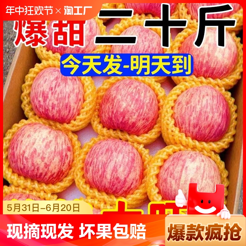 【特价】烟台红富士苹果应季新鲜水果整箱山东苹果脆甜10丑平果