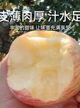 【数乡宝藏】山东红富士苹果2250g苹果新鲜水果应当季整箱a