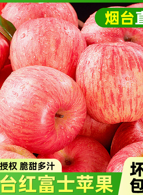 正宗山东烟台红富士苹果新鲜时令水果应季当季整箱脆甜苹果鲜果
