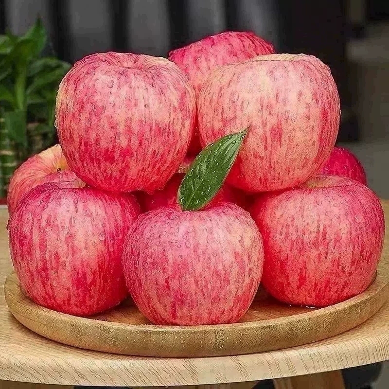 正宗山东烟台苹果红富士当季新鲜水果10斤脆甜特精品整箱