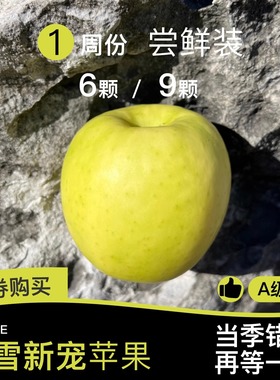 【尝鲜装】A级瑞雪苹果纯甜脆爽当季水果山东新鲜水果
