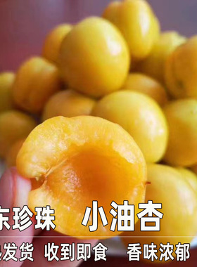 山东珍珠油杏  苹果哥头茬小白杏当季新鲜水果孕妇