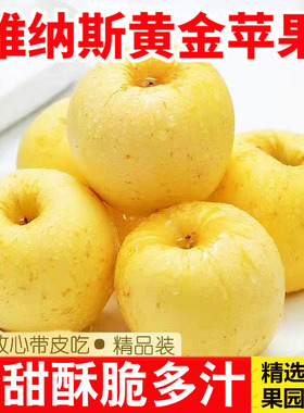 山东维纳斯黄金苹果新鲜水果当季整箱孕妇脆甜烟台苹果非奶油富士