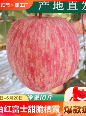正宗山东烟台红富士苹果新鲜水果4.5斤包邮