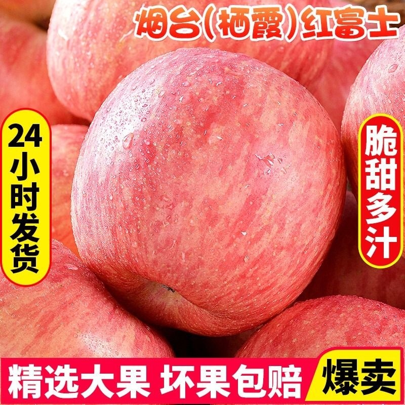 烟台红富士苹果水果10斤当季整箱正宗山东栖霞新鲜苹果包邮自提