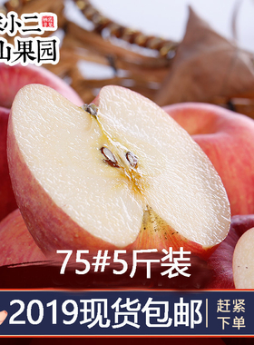 山东新款栖霞苹果水果不打腊75#5斤小朋友喜欢带皮吃的脆甜平果
