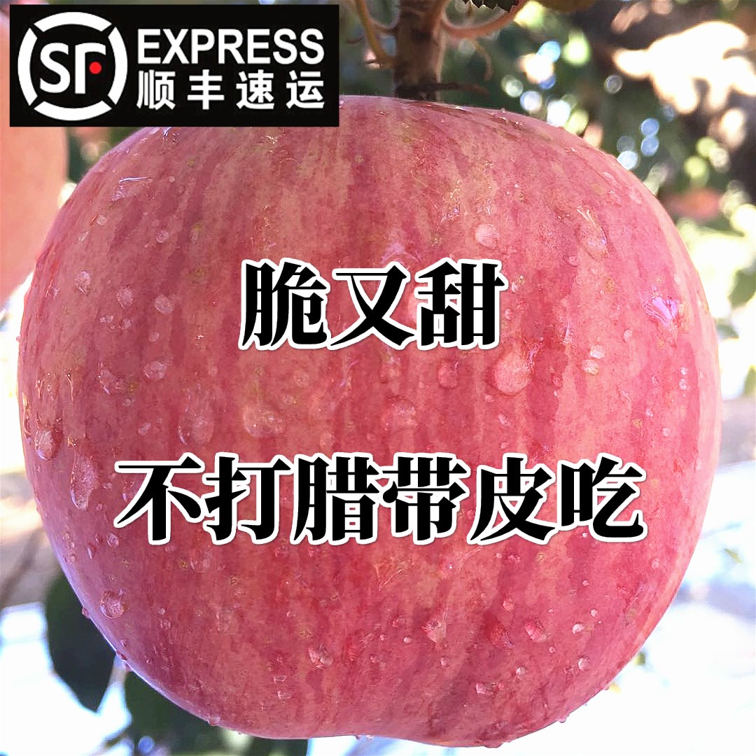 山东烟台大苹果新鲜水果 栖霞红富士非黄元帅脆甜应季5斤10斤