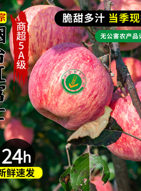 （5A级）山东烟台栖霞特级红富士苹果10斤当季新鲜水果丑苹果礼盒