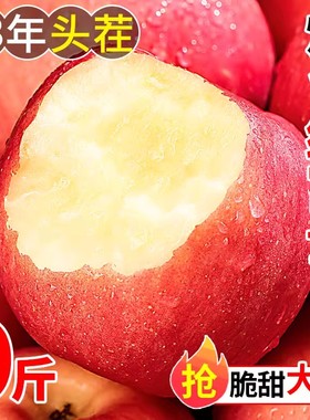 烟台红富士苹果9斤应当季新鲜水果山东栖霞脆甜冰糖心丑平果整箱