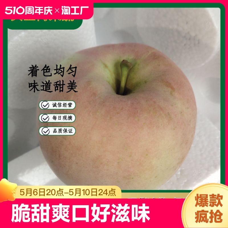 山东红富士苹果水果新鲜应季脆甜果整箱产地直发