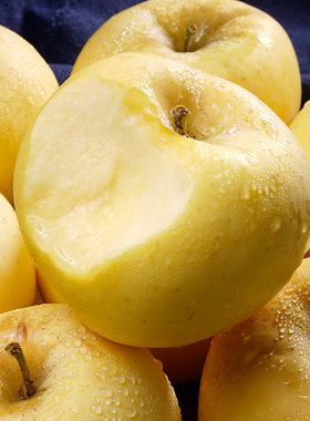 黄金奶油富士苹果山东烟台苹果脆爽现摘大果新鲜当季水果黄金苹果