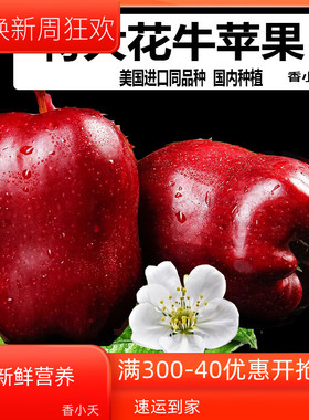 2023特大花牛苹果出口水果新鲜9斤粉面红美国进口同品种国内种植