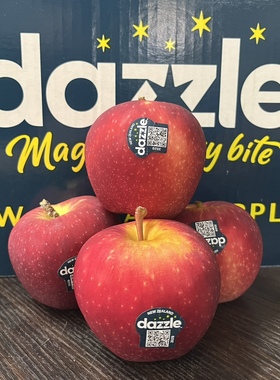 新西兰进口Dazzle伯爵丹烁苹果当季特大果脆甜新鲜水果孕妇顺丰包