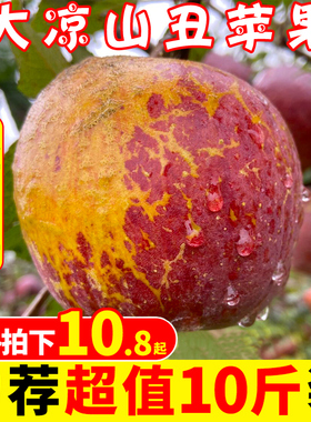 大凉山丑苹果9斤包邮新鲜当季水果糖心苹果红富士脆甜苹果10整箱
