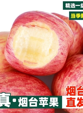 正宗山东烟台苹果水果栖霞红富士苹果脆甜大苹果鲜果10当季整箱