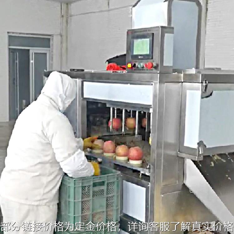 工厂直销 大型苹果削皮机 商用水果去皮分离机 苹果捅芯机分瓣机