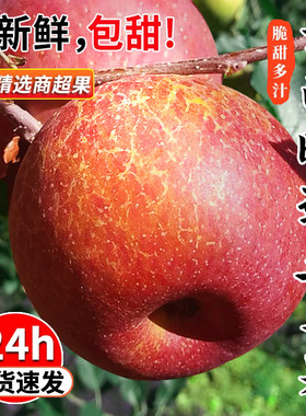 云南昭通丑苹果冰糖心新鲜水果当季整箱10斤红富士大凉山苹果批发