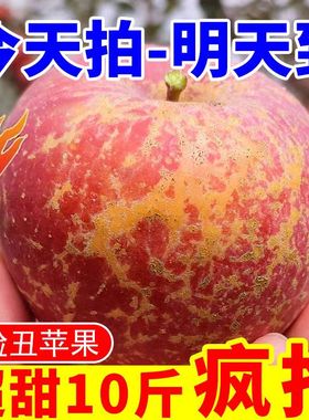 四川大凉山冰糖心丑苹果10斤新鲜苹果水果5斤盐源红富士脆甜自然
