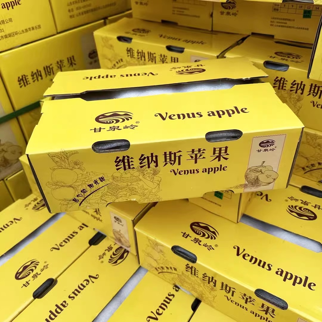 甘泉岭维纳斯黄金苹果 新鲜苹果口感脆甜好吃大人小孩都爱吃