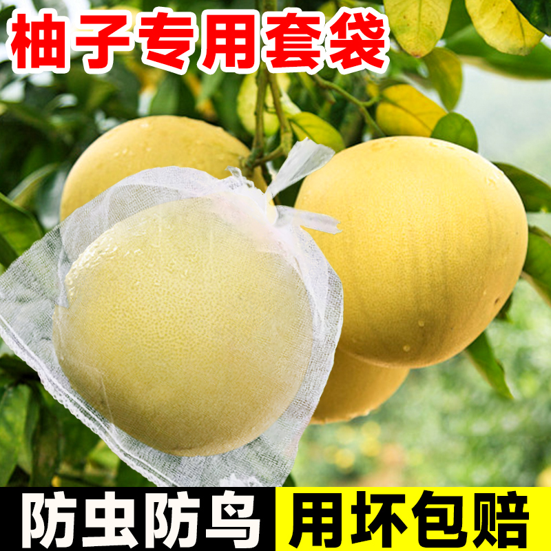 柚子专用套袋大号防虫防鸟水果蜜柚西瓜苹果葡萄果袋神器尼龙网袋
